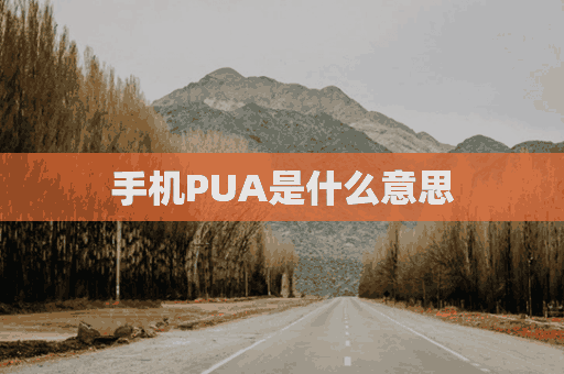 手机PUA是什么意思